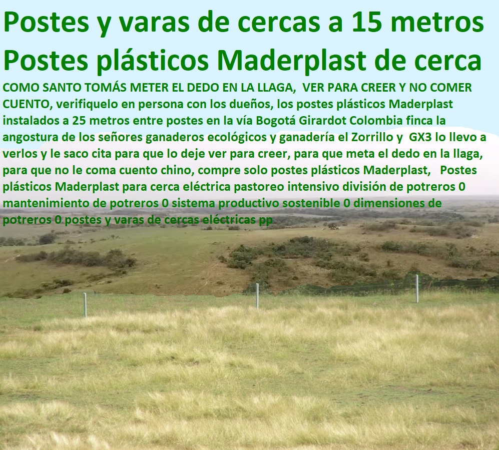 Postes plásticos Maderplast para cerca eléctrica pastoreo intensivo división de potreros 0 mantenimiento de potreros 0 sistema productivo sostenible 0 dimensiones de potreros 0 postes y varas de cercas eléctricas pp Postes plásticos Maderplast para cerca eléctrica pastoreo intensivo división de potreros 0 mantenimiento de potreros 0 sistema productivo sostenible 0 dimensiones de potreros 0 postes y varas de cercas eléctricas pp
